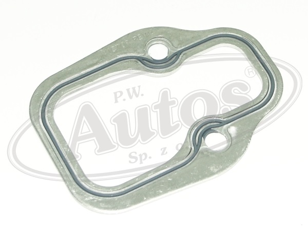 Těsnění trubky sání MAN F2000, E2000, F90, M90 0M401-447//D2530-66/D2840-66