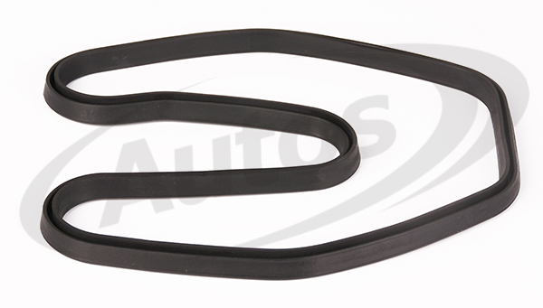 Těsnění víka ventilů SCANIA