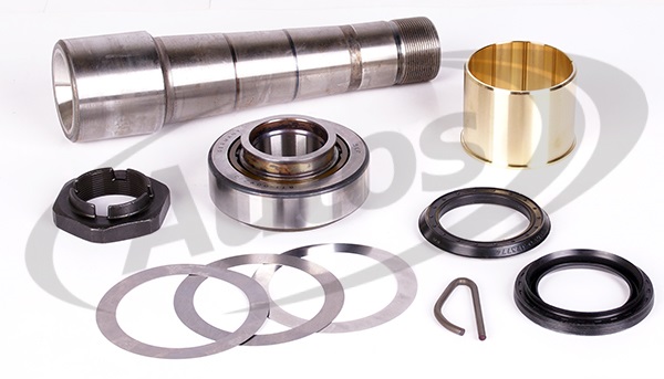 Sada opravárenská svislého čepu 60x227 s ložiskem RVI Magnum, Kerax DXi, Premium 