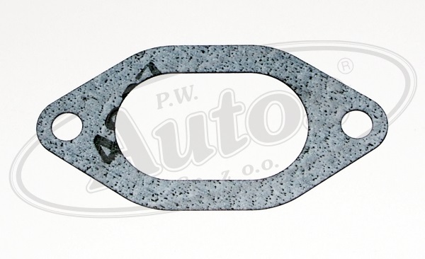 Těsnění kolektoru sacího potrubí IVECO N.Daily, T.Daily, RVI Mascott, Master, Messenger