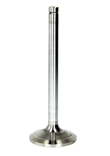 Ventil sací 49x10x136,6 MAN M2000/M90/L2000, SOLARIS Urbino D0224/0226/0824/0826