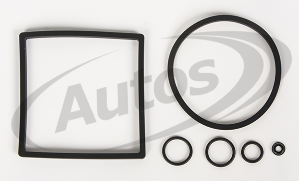 Těsnění filtru paliva -sada HNBR SWK2000/10 + SWK2000/10H MAN