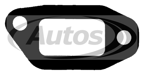 Těsnění trubky výfuku RVI Midlum,Premium, Manager, 