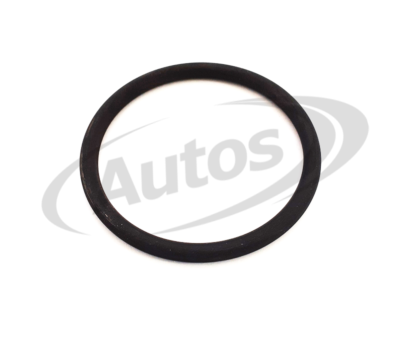 Kroužek výměníku 48,4 RVI Magnum 420/430/470, Magnum E.Tech 400/440/480 do 2005