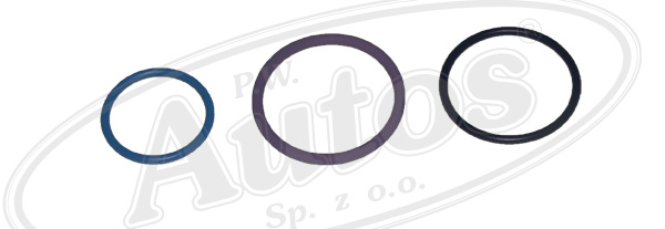 Sada těsnících kroužků čerpadla SCANIA 94,114,124,144 DC 9.19/20/21, DC11, DSC12