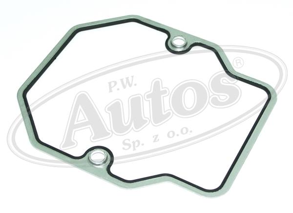 Těsnění víka ventilů MAN D2866LF20 -43/2876