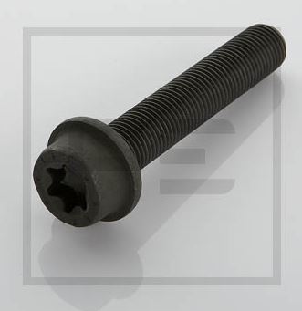 Šroub brzdového kotouče M14x1,5x75 torx T60 MERCEDES Actros