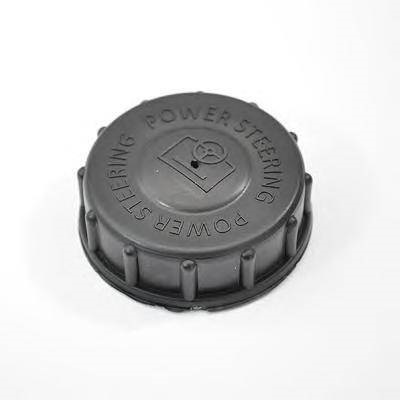 Uzávěr nádobky kapaliny servořízení RVI Premium, Magnum, Midlum do 12.2006, Mascott 