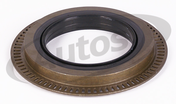 Gufero náboje kola 75x110/134x10 s kroužkem ABS MERCEDES Atego