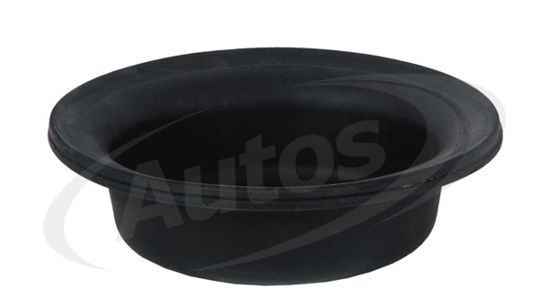 Membrána brzdového válce 20" vysoká