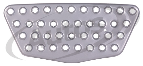 Nášlap schodu kabiny - střední L/P MAN TGA