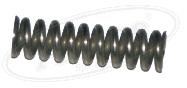 Pružina synchronu 6x20,4 převodovky IVECO E.Cargo 2855/2845