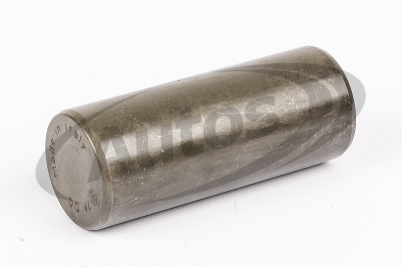 Čep satelitu diferenciálu - krátký IVECO E.Trakker, Trakker, Astra HD