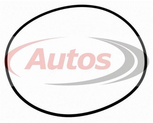 Kroužek těsnící náboje kola 255x5 MAN F2000, F90, L2000