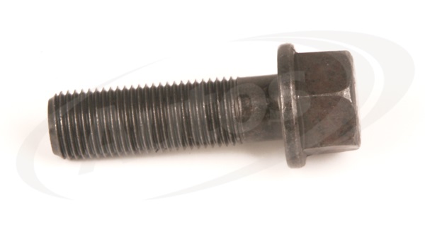 Šroub brzdového třmenu M20x2x60 RVI ZN Magnum DXi12/13, Magnum E.Tech 