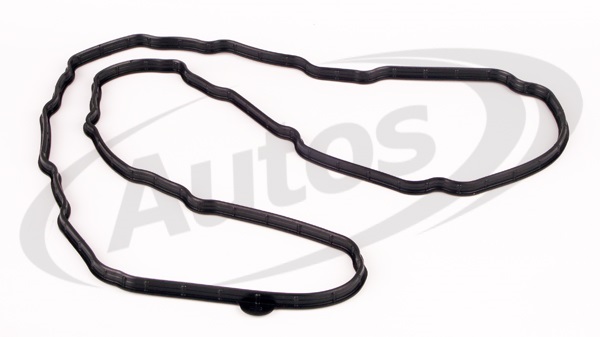 Těsnění víka ventilů RVI Maxity,Mascott DXi 2/3