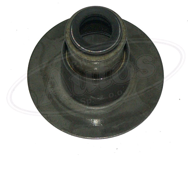 Kroužek těsnící dříku ventilu RVI Magnum E.Tech 400/440/480 od 2003