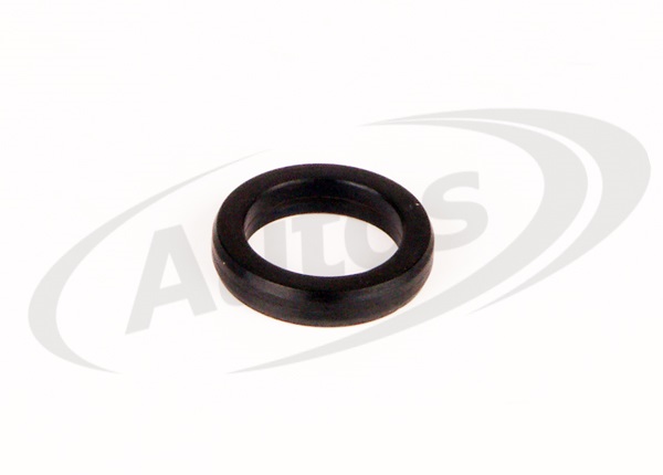 Těsnění termostatu 21x29x6 pryž RVI DXi12/13, VOLVO D11A-D11C,D12A-D12F,D13A-D13C