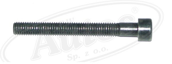 Šroub pásu expanzní nádrže RVI Magnum DXi, Premium DXi, Kerax DXi OD 2005