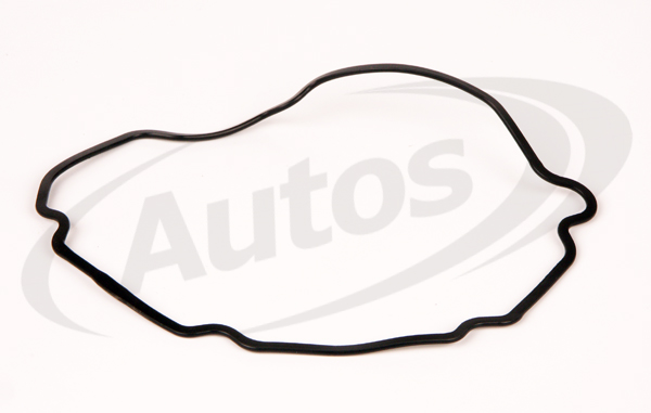 Těsnění čerpadla servořízení SCANIA 94,114,124,144,164/ P,G,R,T