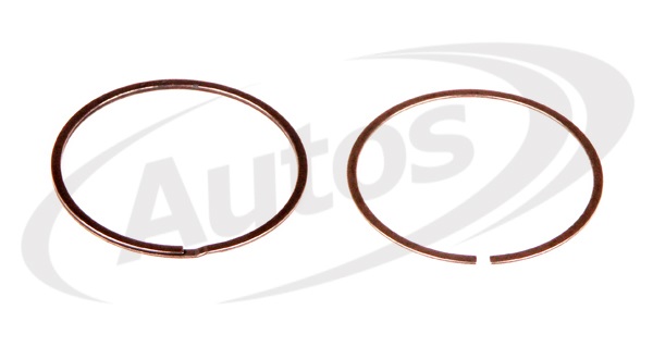 Kroužek těsnící kolektoru výfukových plynů 52x47,6x2,25 - sada SCANIA P,G,R,T DC16