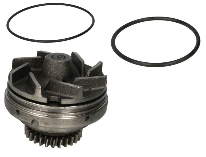 Čerpadlo vody vložené s těsněním RVI Premium, Premium 2, Kerax, Maxter, Manager  06.18D