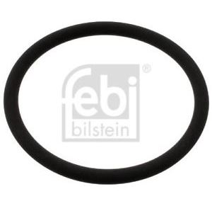 Kroužek těsnící čerpadla vody  DAF XF105, XF95, CF85, CF75