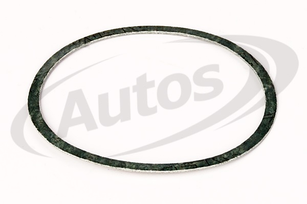 Těsnění termostatu MAN D2066/D2565/D2566/ D2676/D2840/D2842/D2865/D2866/2876