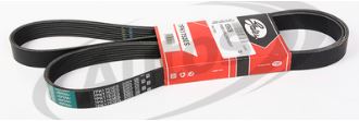 Řemen drážkový  7PK1750 DAF CF85IV, XF95, XF105