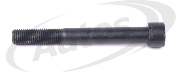 Šroub listového pera střed.  RVI MAGNUM DXI 12 MIDLUM DXI 5/7 PREMIUM DXI 7