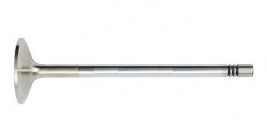 Ventil sací MAN TGA D2066LOH03/ 2076LF12/13/ 2066LF31