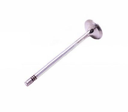 Ventil výfukový MAN TGL D0834LFL/ LOH/ D0836LF/LFG/LFL, LOH/ LUH