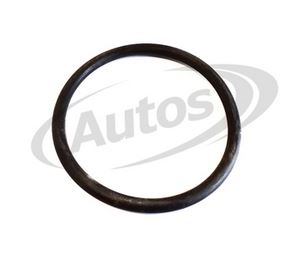 Kroužek těsnící výměníku "O" 69x5,3 výměníku RVI C,G, Manager, Maxter,R,Major,Premium /TR/