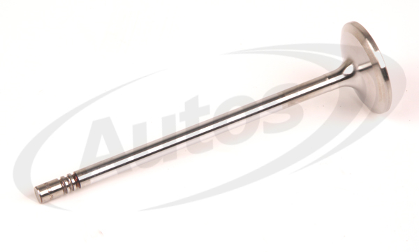 Ventil sací motoru MAN D 0834 LOH/LFL/D, 0836 LOH/LF/LFL