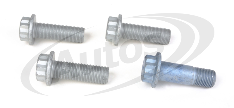 Šroub brzdového třmenu M18x1,5x55 - sada SAF B/Basic/S/SKRS/Z