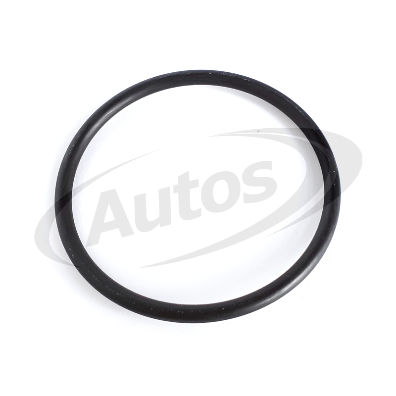 Kroužek těsnící vodního čerpadla DAF CF85, XF95, XF105