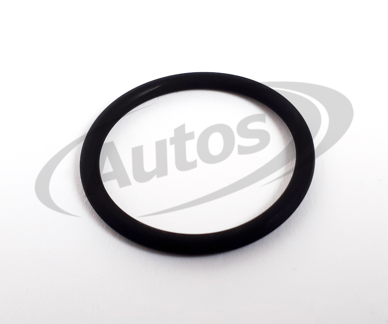 Kroužek "O" vstřikovače 26x2,5mm DMCI DAF 105XF