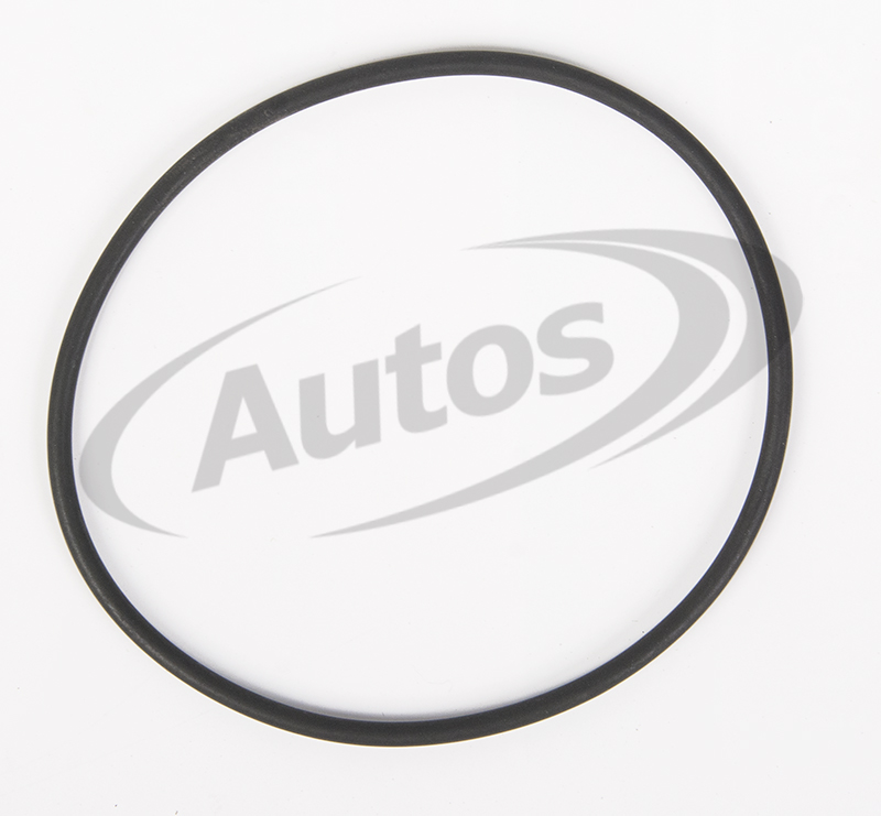 Kroužek těsnící čerpadla servořízení DAF XF105,CF95, CF85