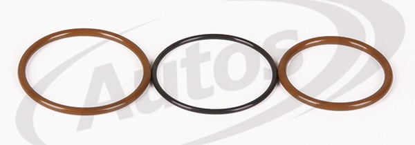 Kroužek těsnící vstřikovače - sada NEW HOLLAND, IVECO AD/AT/AS, Stralis F3AE/F3BE Cursor