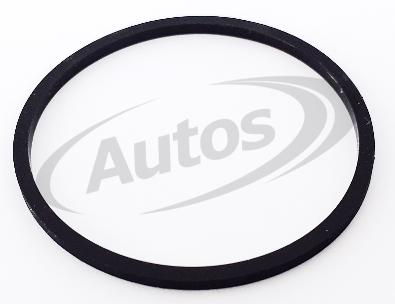 Kroužek těsnící palivové lišty SCANIA P,G,R,T, 94, 114,124,144