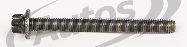 Šroub trubky kolektoru výfukových plynů M8x80 MAN TGL