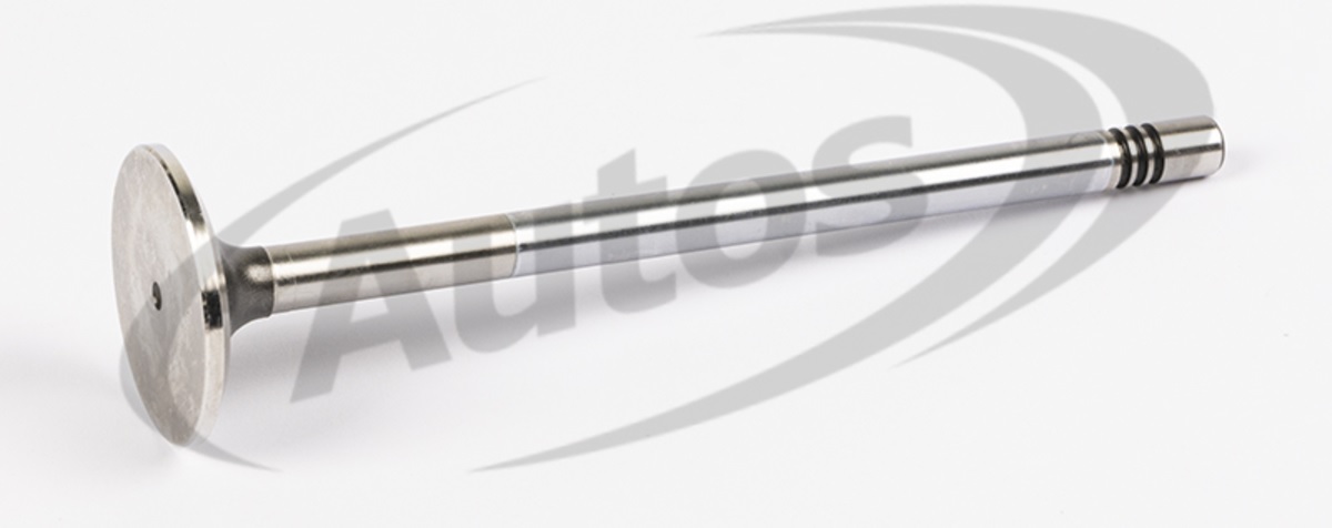 Ventil sací MAN TGA,TGX,TGS D2066LOH/LF/LUH, D2676LF/LOH, ERF ECT od 02.2005