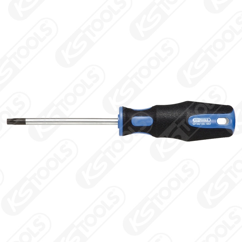 Šroubovák torxní TB30 ERGOTORQUE plus, 205mm