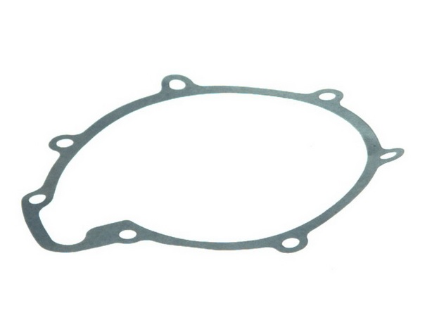 Těsnění příruby čerpadla vody MAN EL, EM, HOCL, L 2000, LION S CITY, M 2000 L, M 2000 M, M