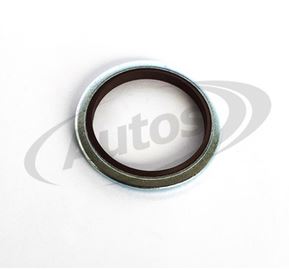 Těsnění zátky olejové vany 24,7x32x2 MAN TGX