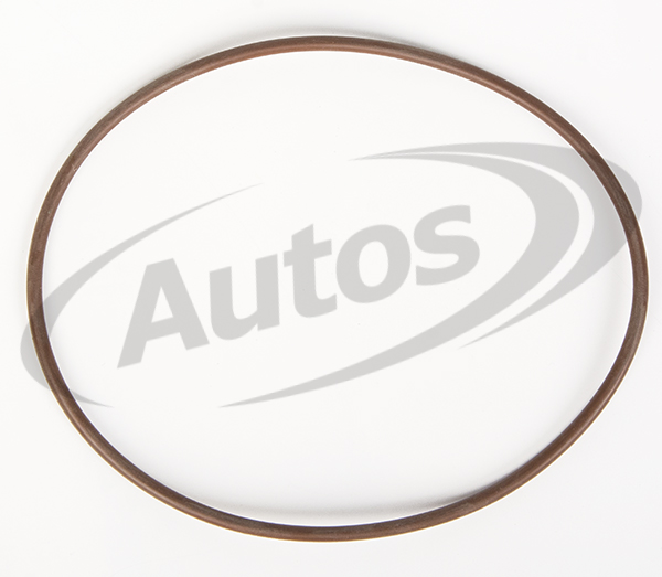 Kroužek těsnící "O" 120,24x3,53 vodního čerpadla IVECO T9030/9040/9050