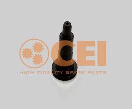 Čep diferenciálu MERCEDES, Maxi Atego, Axor, Actros (I), Actros (II), HD7, 55, 56 DGS13, H