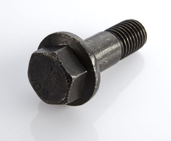 Šroub brzdového třmene M18x55 DAF 65CF, 85CF, 95XF, CF65, CF85, LF45, LF55, XF95. XF105