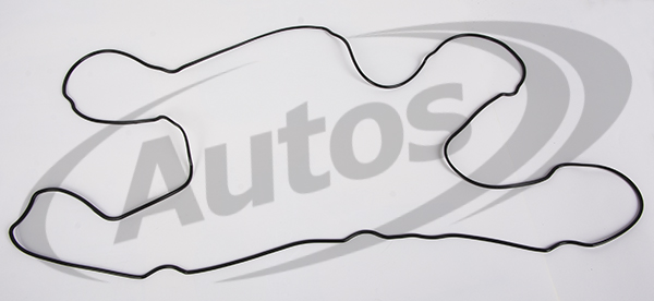 Těsnění kolektoru sání VOLVO D13A/B, RVI Magnum DXi13