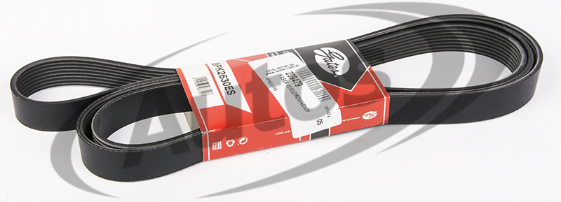 Řemen drážkový 8PK2630 MERCEDES Actros MP4